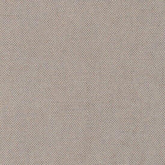 TRIBUTE 1244032 - 10,05 x 0,53m Vlies