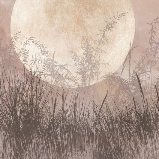 DIGITALE IMPRESSIONEN II 1364613DP - Moonlight Weeds - indiv. Digitaldruck auf Vlies, Bahnenbreite 45cm