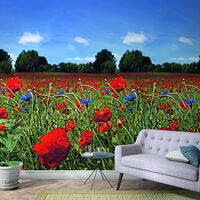 SMART ART EASY 1297561 - 1,59 x 2,70 m (BxH) Vlies