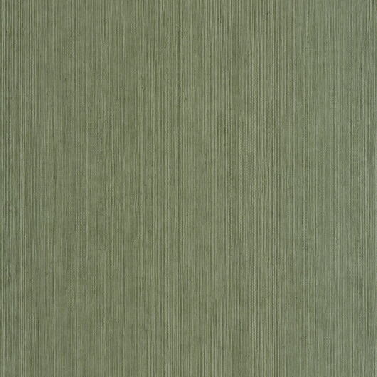 1359889 Borneo