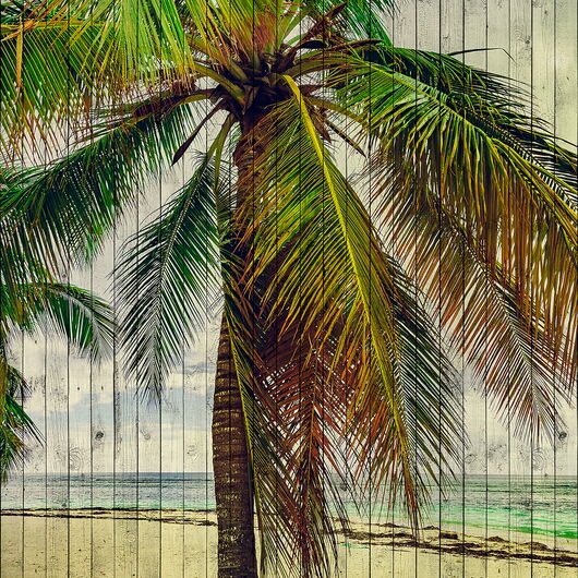 WALLS BY PATEL II 1255404DP indiv. Digitaldruck