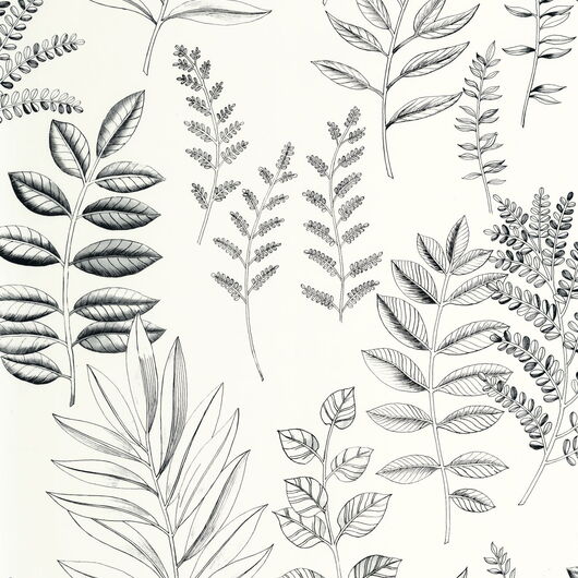 Kollektion Art of Botany Artikel  1367280