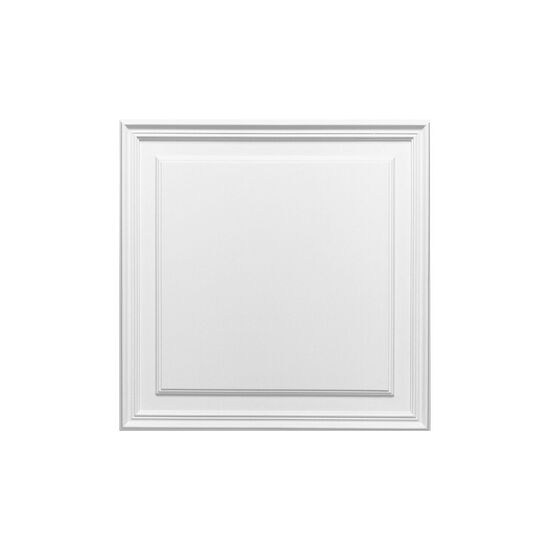 ORAC D503 Paneel - 55 x 55 x 1,7cm (VE = 2St)