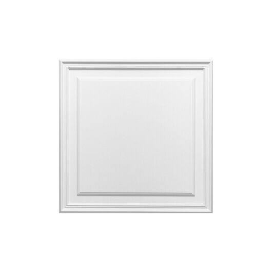ORAC D503 Paneel - 55 x 55 x 1,7cm (VE = 2St)