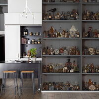 REBEL WALLS 1240298DP Cabinet of Curios, Night - indiv. Digitaldruck, Motiv fortsetzbar