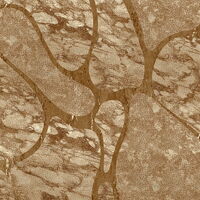 MUANCE AMBER 1270229DP - indiv. Digitaldruck - A line in the sand