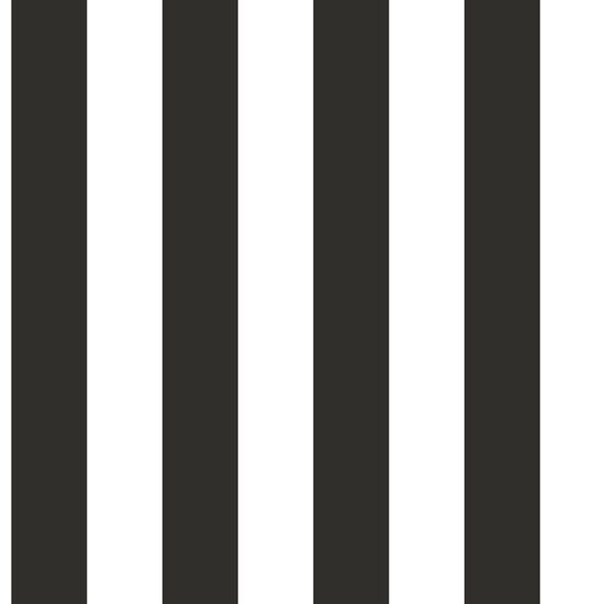 Stripes  58427 - 10,05 x 0,53m - Vliesträger