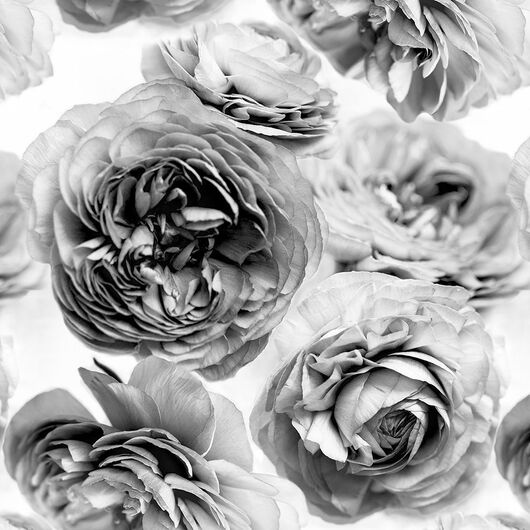 REBEL WALLS 1222534DP Summer Wind, Black and White - indiv. Digitaldruck, Motiv fortsetzbar