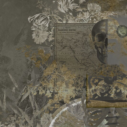 MUANCE AMBER 1270219DP - indiv. Digitaldruck - Skull Candy