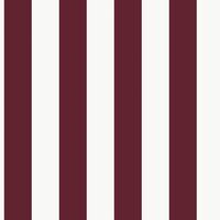 Stripes  58418 - 10,05 x 0,53m - Vliesträger
