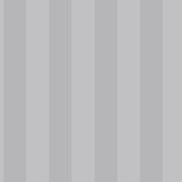 Stripes  58452 - 10,05 x 0,53m - Vliesträger