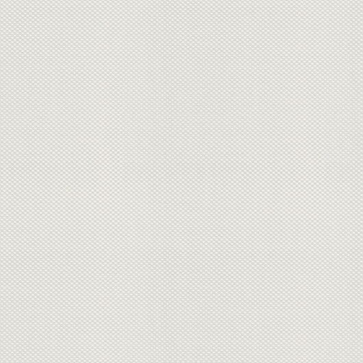VLIES & OBJEKT 2029 85015 - 25 x 1,06m - Vliesträger - #1 Patent Decor Laser 1455-12
