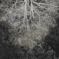 MUANCE COBALT 1260837DP - indiv. Digitaldruck - Expansion Theory