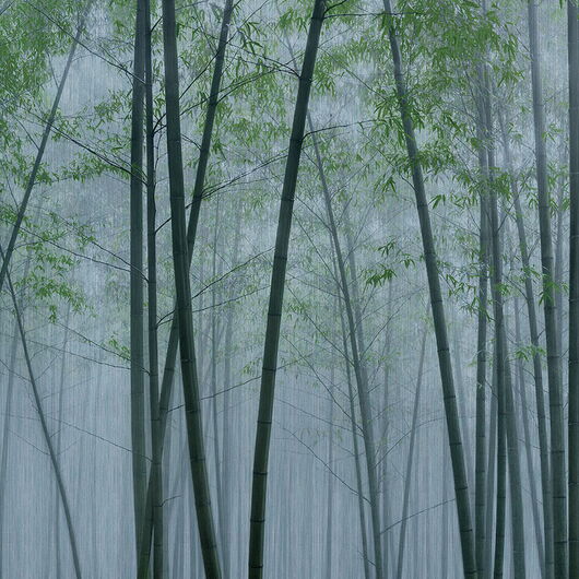 WALLS BY PATEL III 1267368DP indiv. Digitaldruck