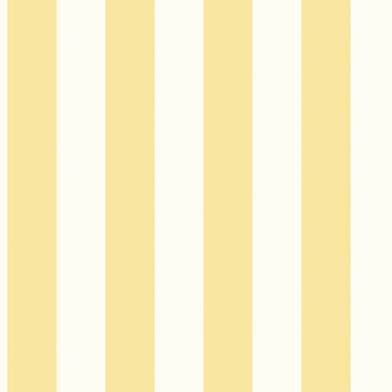 Stripes  58422 - 10,05 x 0,53m - Vliesträger