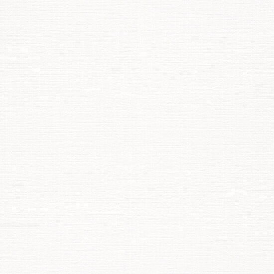 VLIES & OBJEKT 2029 85810 - 10,05 x 0,53m - Vliesträger - #1 Patent Decor Laser 9130