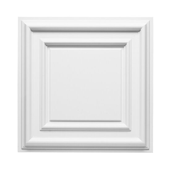 ORAC F30  Paneel - 59,5 x 59,5 x 4,3cm (VE = 5St)