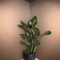 Kollektion EXCELSIOR – Exklusive, 70 cm breite Heißprägetapeten Artikel Nr. 5512500