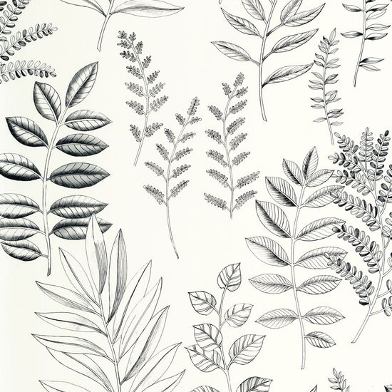 Kollektion Art of Botany Artikel  1367280