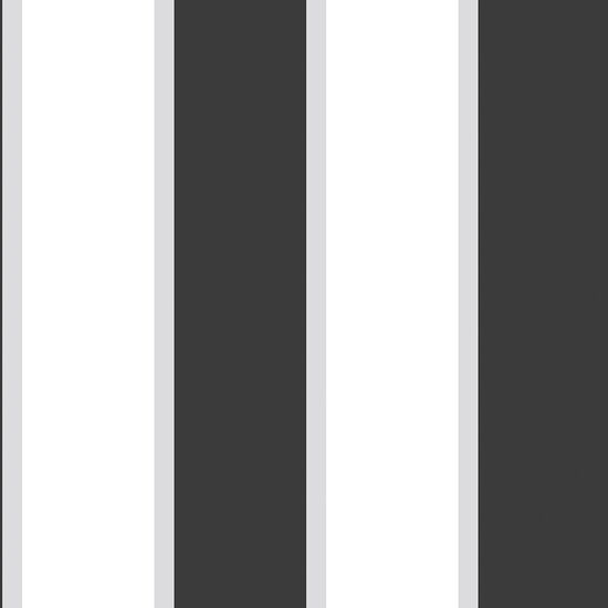 Stripes  58413 - 10,05 x 0,53m - Vliesträger