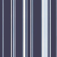 Stripes  58484 - 10,05 x 0,53m - Vliesträger