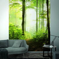 SMART ART EASY 1297512 - 2,12 x 2,70 m (BxH) Vlies