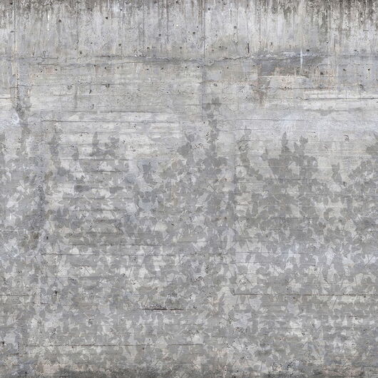 REBEL WALLS 1222667DP Climbing Clorofyl, Shadow - indiv. Digitaldruck, Motiv fortsetzbar