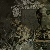 MUANCE AMBER 1270220DP - indiv. Digitaldruck - Skull Candy