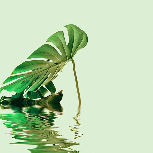 ARTIST 1299542DP indiv. Digitaldruck