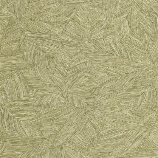 1359902 Borneo