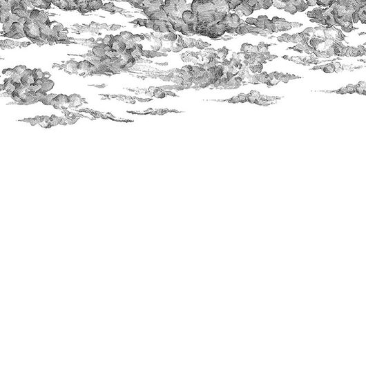 REBEL WALLS 1222744DP Cotton Skies, Black - indiv. Digitaldruck, Motiv fortsetzbar
