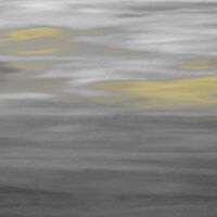 MUANCE AMBER 1270208DP - indiv. Digitaldruck - In the sun