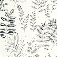 Kollektion Art of Botany Artikel  1367280