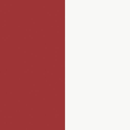 Stripes  58460 - 10,05 x 0,53m - Vliesträger