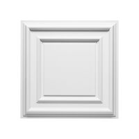 ORAC F30  Paneel - 59,5 x 59,5 x 4,3cm (VE = 5St)