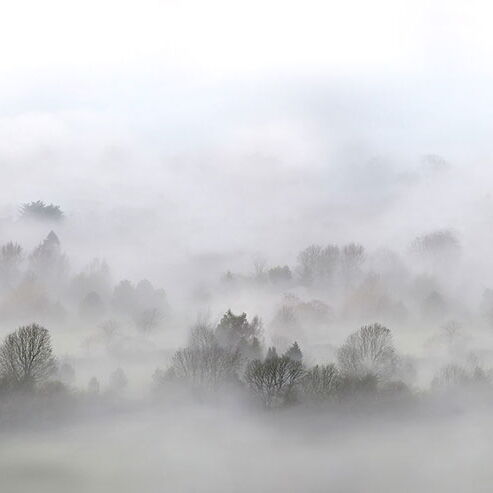 REBEL WALLS 1208788DP Morning Fog - indiv. Digitaldruck, Motiv fortsetzbar