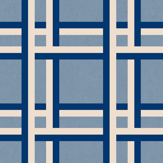 LLAÜT 1226582 10,00 x 0,50m, Vlies