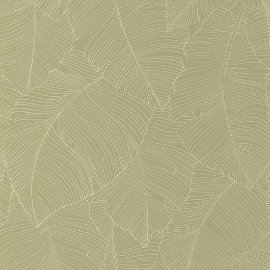 1359896 Borneo