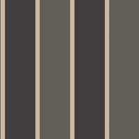 Stripes  58411 - 10,05 x 0,53m - Vliesträger