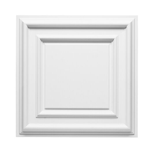 ORAC F30  Paneel - 59,5 x 59,5 x 4,3cm (VE = 5St)