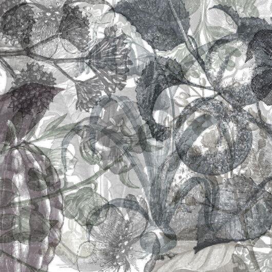 REBEL WALLS 1222424DP Jelly Belly Plants, black & white - indiv. Digitaldruck, Motiv fortsetzbar