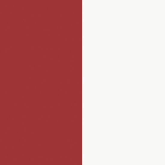 Stripes  58460 - 10,05 x 0,53m - Vliesträger