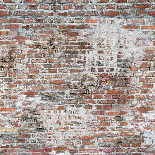 PASSION FOR MATERIALS  1240852 4 Panels á  0,5 x 2,8m (BxH) Vlies