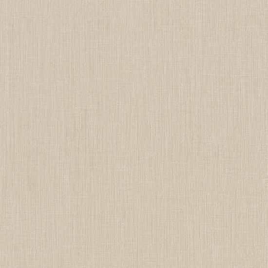 Palazzo Color  5082100