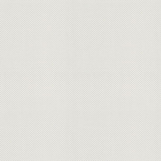 VLIES & OBJEKT 2029 85015 - 25 x 1,06m - Vliesträger - #1 Patent Decor Laser 1455-12