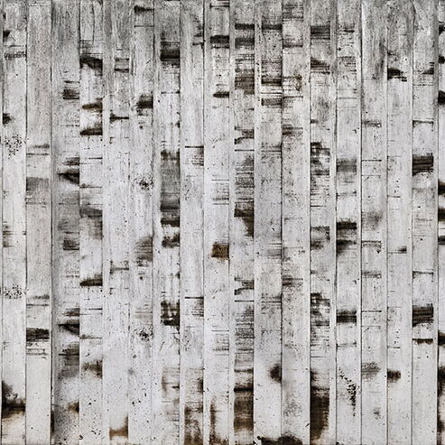 REBEL WALLS 1208758DP Metal Birch - indiv. Digitaldruck, Motiv fortsetzbar