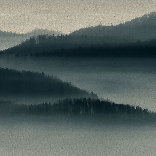 WALLS BY PATEL II 1254934DP indiv. Digitaldruck