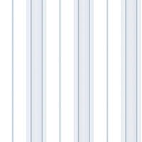 Stripes  58447 - 10,05 x 0,53m - Vliesträger