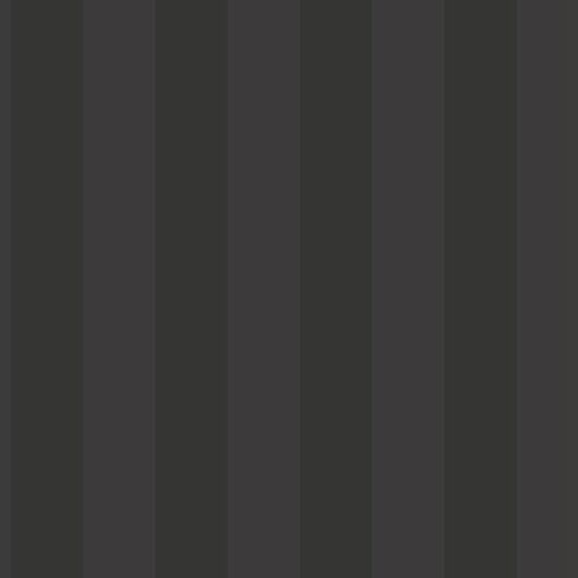 Stripes  58454 - 10,05 x 0,53m - Vliesträger