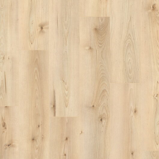 LOCFLOOR 2024 LCF366 Birke natürlich - 126,1 x 19,2 cm x 7mm - Laminat